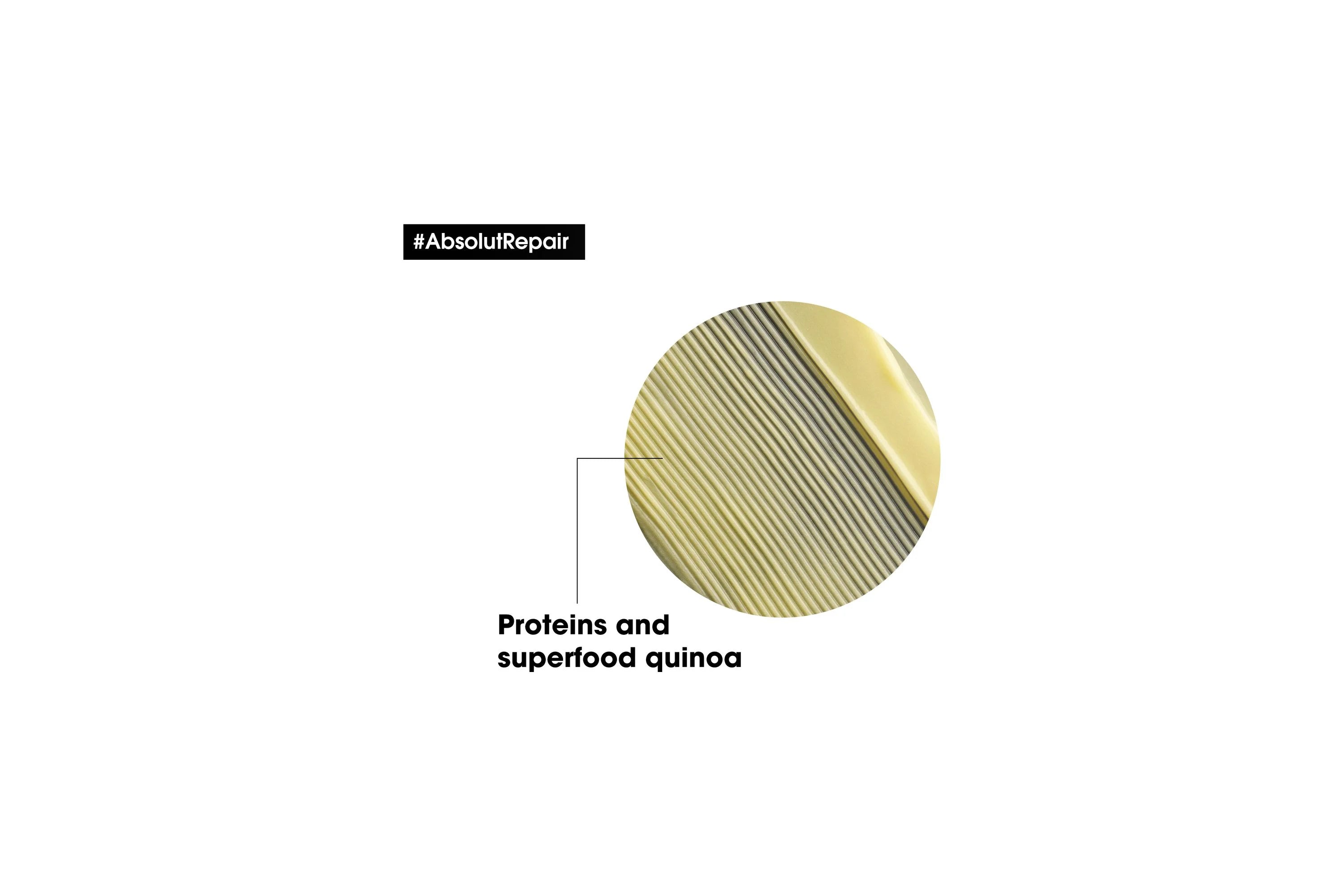 L'Oreal Professionnel Absolut Repair Conditioner – Deep Conditioning for Dry Hair