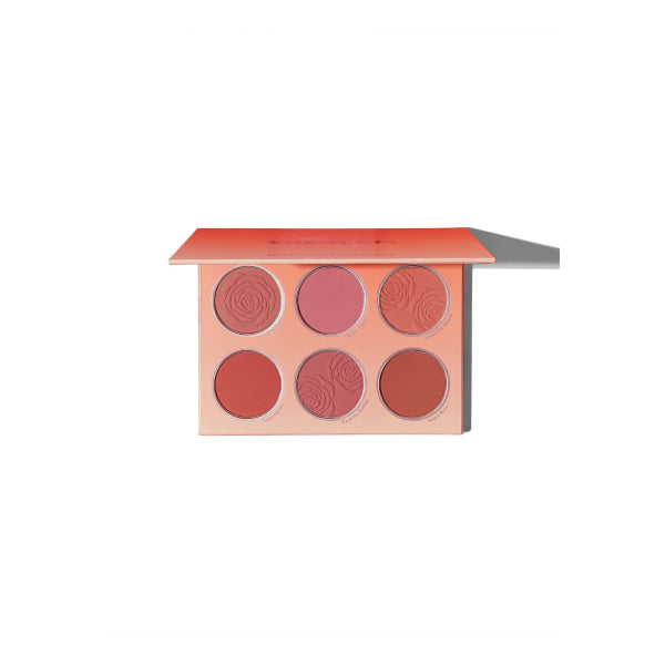 Sheglam blusher palette floral flush