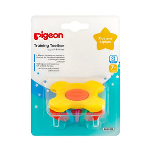Pigeon teether training teething +7 months