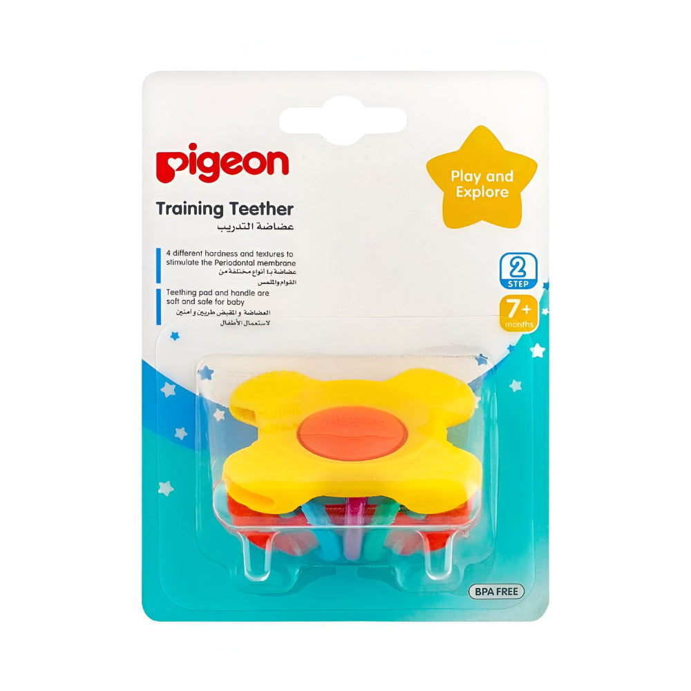 Pigeon teether training teething +7 months