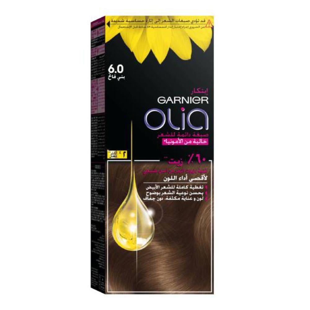 Garnier Ammonia-Free Hair Color Olia 6.0 Light Brown