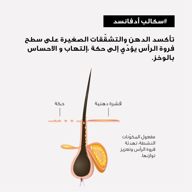 معالجة L'Oréal Professionnel Scalp Advanced بـ Niacinamide الاحترافية 200مل