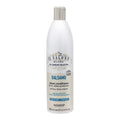 IL Salone Hair Conditioner 500ml Detox With Charcoal For All Hair Types