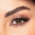 Amara daily lenses 10lenses colored amber