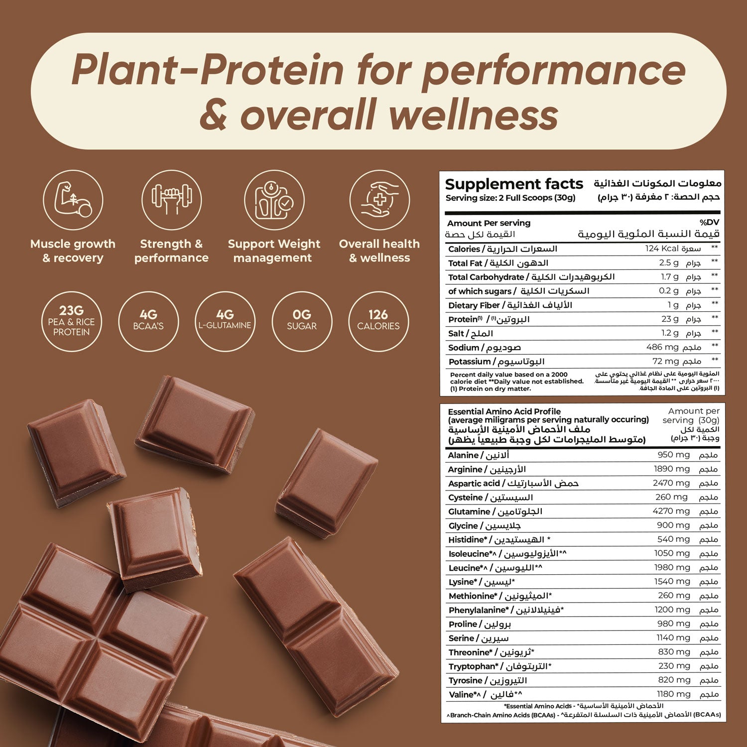 Rite Plant Protein Powder Chocolate 450g