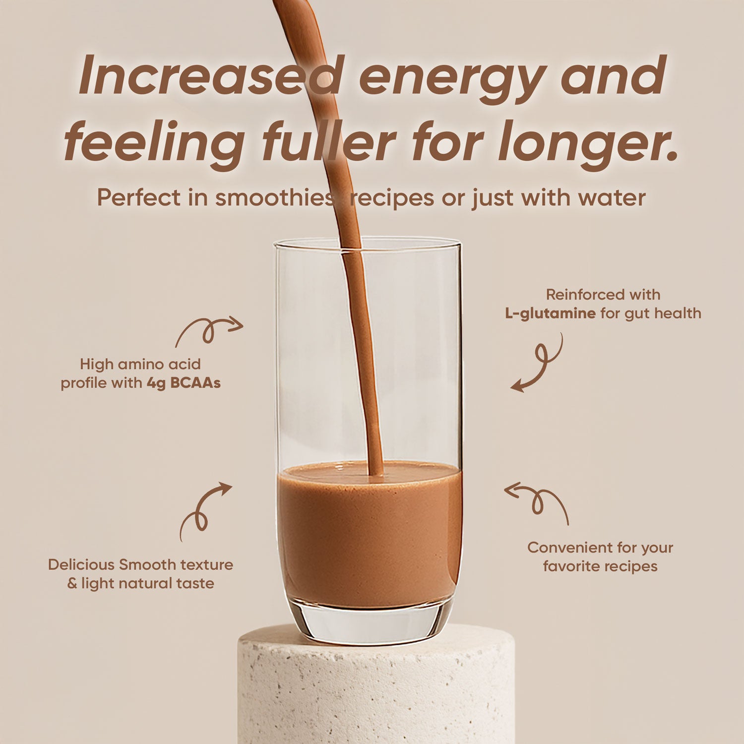 Rite Plant Protein Powder Chocolate 450g