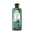 Herbal Essences Hair Shampoo 400ml Bio Renew Effective Aloe Vera And Bamboo Strength Builder v2