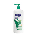 HOBBY Hair Shampoo Nettle Extract 1000 ml
