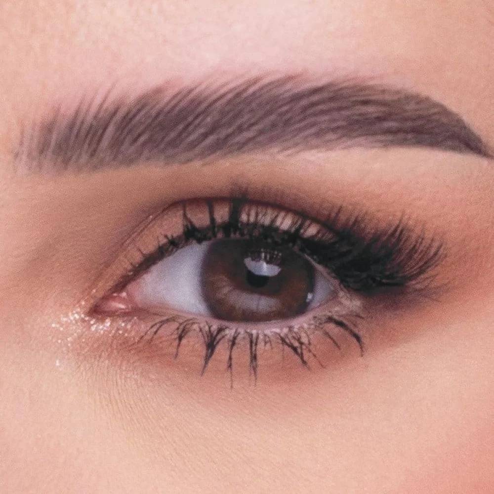 Amara colored lens chocolate monthly