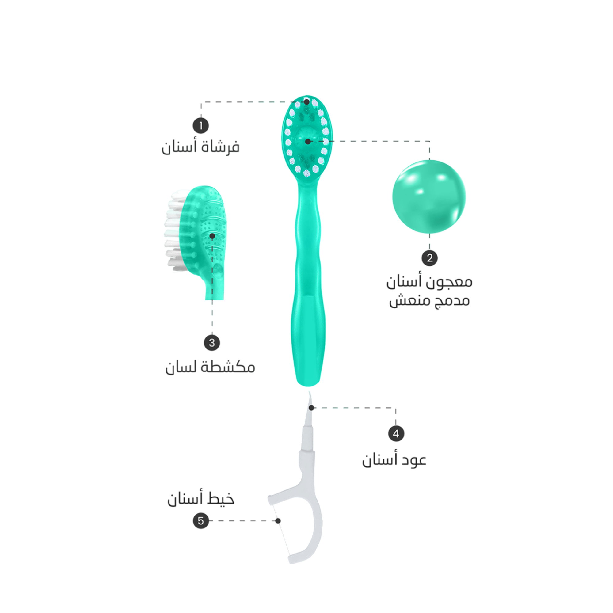 فرشاة أسنان ومعجون أسنان مع خيط تنظيف الأسنان 5 في 1 باللون الأخضر من Orashine - 10 قطع