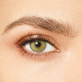 Desio Colored Lens Attitude Quarterly Wild Green