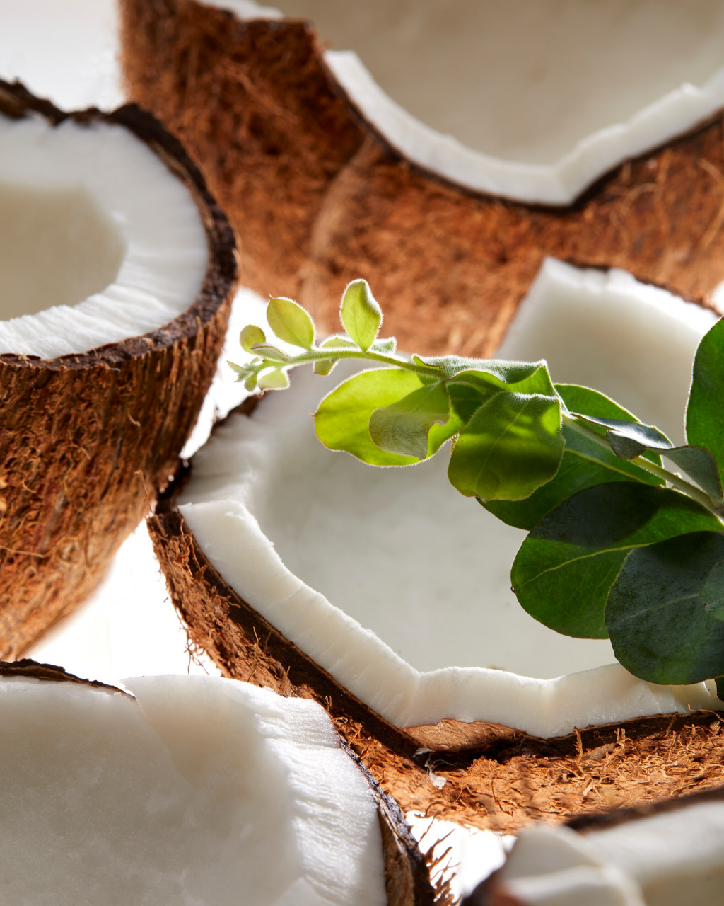 SheaMoisture Daily Hydration Conditioner with 100% Virgin Coconut Oil – 384 ml