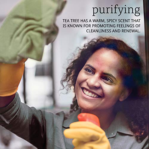 NOW Solutions Tea Tree Oil – 100% Pure 30ml (1 fl oz)