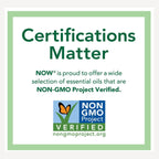 Now Solutions Pure Shea Butter – Natural Unrefined Moisturizer for Skin