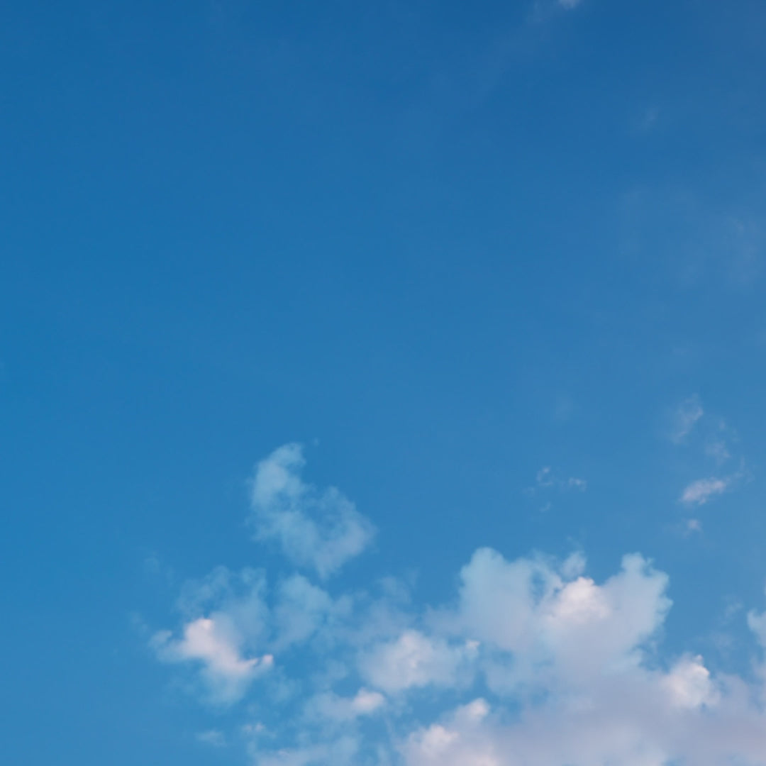 مشروب الليمونادة الكلاسيكي الغازي من C4 Energy، 473 مل (16 أونصة)